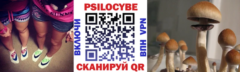 как найти наркотики  Усть-Катав  Галлюциногенные грибы Cubensis 